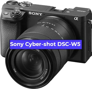 Ремонт фотоаппарата Sony Cyber-shot DSC-W5 в Екатеринбурге